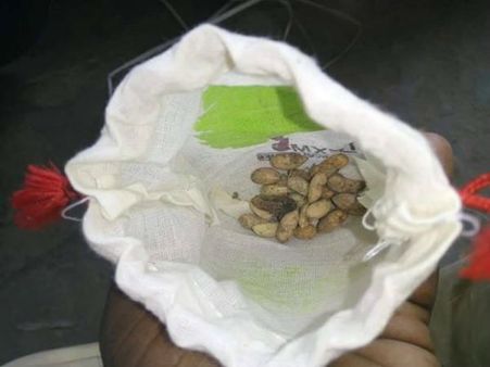 ஆஹா.. மெஷினுக்குள் விதை.. கோவை நிறுவனத்தின் 