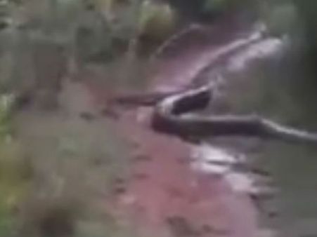 டேய் போகாதடா வேண்டாம்.. ஆமாடா.. நகர்ந்து வருது.. ஐயோ வா ஓடிடலாம்!