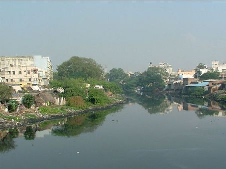 அடையாறு, கூவம் ஆற்றில் ஆக்கிரமிப்புகளை அகற்றவில்லை... அரசுக்கு அபராதம் போட்ட பசுமை தீர்ப்பாயம்!