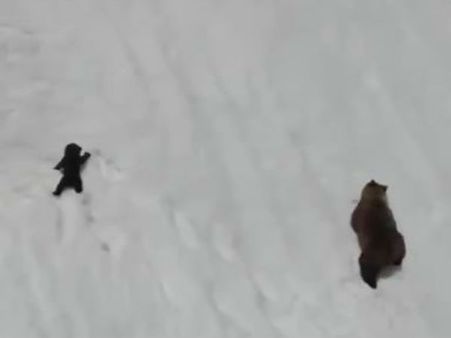 விடாதே.. கெட்டியா பிடிச்சுக்கோ அப்படித்தான்.. சூப்பர்.. இந்தக் கரடியைப் பாருங்க, கத்துக்கங்க!