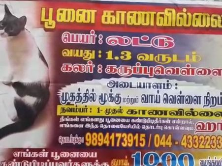 யாராச்சும் லட்டுவை பார்த்தீங்கன்னா.. தயவு செய்து தகவல் கொடுத்து சேர்த்து விடுங்கள்!