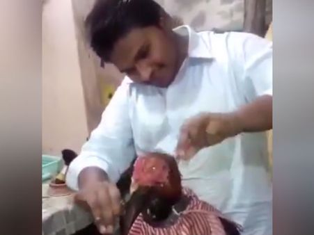 சேவல் கொண்டை கேள்விப்பட்டிருப்போம்.. சேவலுக்கே கொண்டை போடுவதைப் பாத்திருக்கீங்களா!