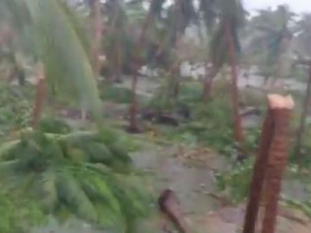 போச்சு, என் தென்னையெல்லாம் போச்சு.. ஒரு விவசாயியின் கண்ணீர் கதறல்.. வீடியோ