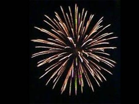 முதல் கேஸ்.. மகன் பட்டாசு வெடித்ததற்கு தந்தை மீது வழக்கு போட்டது டெல்லி போலீஸ்!