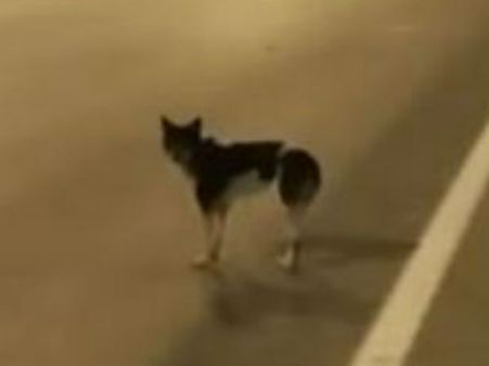 காத்திருந்து காத்திருந்து காலங்கள் போகுதடி.. கண்ணீர் விட வைக்கும் ஒரு பாசக் கதை