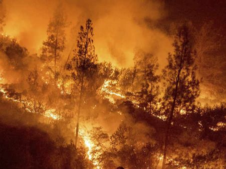 கலிபோர்னியாவில் மோசமான காட்டுத் தீயால் பலி எண்ணிக்கை 25-ஆக உயர்வு