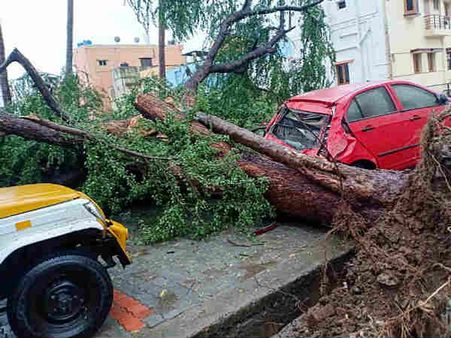 கஜா புயலால்.. விடிய விடிய கன மழை.. முடங்கிப் போனது கொடைக்கானல்