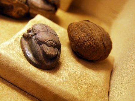 மம்மி வண்டு, மம்மி பூனை, மம்மி தேனீ.. எகிப்த் பிரமிடுகளில் கிடைத்த புதுவகை மம்மிகள்!