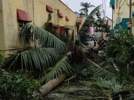 பசியால் துடிக்கும் குழந்தைகள்.. சிரமப்படும் முதியவர்கள்.. உருக்குலைந்த முத்துப்பேட்டை! #savemuthupet