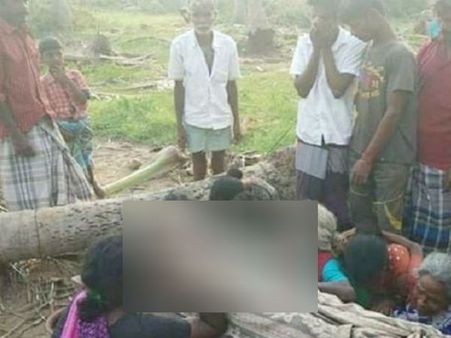 நள்ளிரவு.. சுழற்றியடித்த கஜா.. மிரண்டு போன சிறுமி.. உயிரை பறித்த தென்னை மரம்.. ஒரு பரிதாப மரணம்!