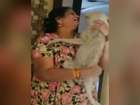 என் செல்லமே.. திரும்பவும் என்கிட்ட வந்துட்டியாடா.. பப்லுவை கட்டி அணைத்து கதறிய பெண்!