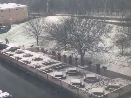 பனி விழும் மலர் வனம்.. சிகாகோவில் ஒரு தினம்... முதல் பனியின் சில துளிகள்.. வீடியோ பாருங்க!