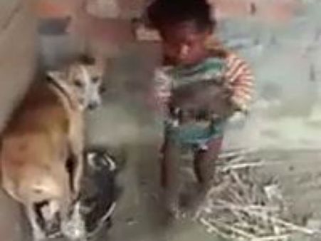 டேய் விடுடா என் குட்டியை.. எனக்கு வேணும் நீ கொடுடா.. ஆஹாஹாஹா காட்சி!