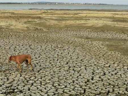 கைவிட்ட பருவ மழை.. வறண்டு வரும் சென்னை ஏரிகள்.. கோடைகாலம் கொடுமையாக இருக்குமோ?!