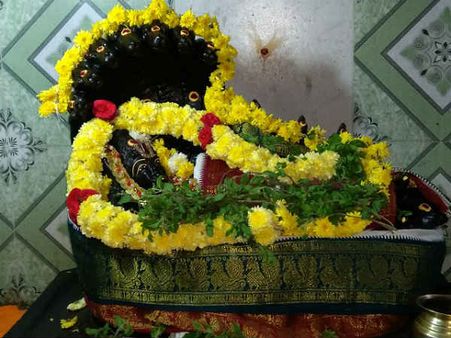 மோடி மீண்டும் பிரதமராக வைகுண்ட ஏகாதசி நாளில் ஸ்ரீ தன்வந்திரி பீடத்தில் மகா யாகம் 