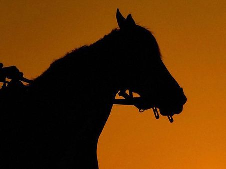 மெரினாவில் குதிரை சவாரி.. சிறுமியை கடத்திய சிறுவன்.. பலாத்காரம் செய்த சம்பவத்தால் பரபரப்பு