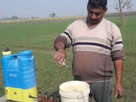 இதென்னப்பா புதுக்கதையா இருக்கு.. சரக்கு போட்டா தான் ‘ உருளை’ நல்லா வளருமாம்!