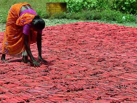 பிளாஷ்பேக் 2018: கோர்ட் தீர்ப்பினால் வெடிக்காத பட்டாசு... கருகும் 'குட்டி ஜப்பான்' தொழிலாளர்கள்