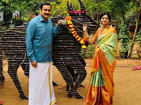 பொங்கல் என்றாலே ராமதாஸ் வீட்டில் ஸ்பெஷல்தான்.. பாரம்பரிய உடையில் கொண்டாடிய அன்புமணி, செளம்யா