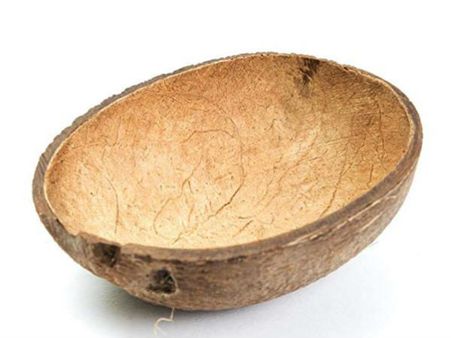 தேங்காய் சிரட்டையை குப்பைல போட்றாதீங்க.. அப்புறம் பீல் பண்ணுவீங்க!