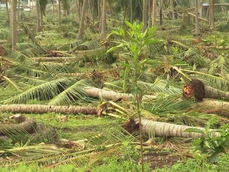 கஜா புயல் பாதித்த தமிழகத்துக்கு இல்லை…புதுச்சேரி உள்பட 6 மாநிலங்களுக்கு ரூ. 7,214 கோடி ஒதுக்கீடு