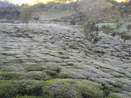 பனிப்பொழிவு குறையவே இல்லை.. குளிருது.. குளிருது.. ஊரே குளிருது.. நடுங்குகிறாள் மலைகளின் அரசி!