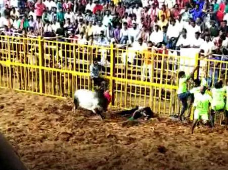 வெளிநாட்டினரை ஈர்த்த திருச்சி சூரியூர் ஜல்லிக்கட்டு.. காளைகளை அடக்கி வீரர்கள் உற்சாகம்