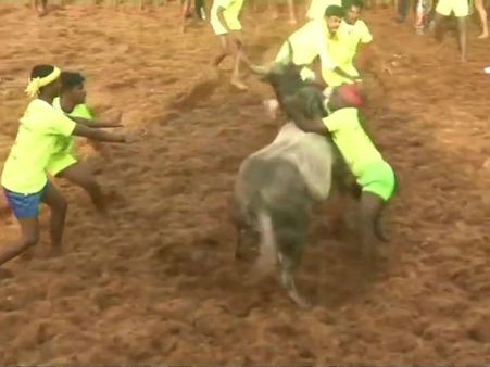 பாலமேடு ஜல்லிக்கட்டு.. 3 காளைகளுக்கு பரிசு, சிறந்த மாடுபிடி வீரராக பிரபாகரன் தேர்வு