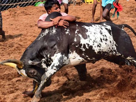 பொத்தமேட்டுப்பட்டி ஜல்லிக்கட்டை காண குவிந்த மக்கள்…பலத்த போலீஸ் பாதுகாப்பு