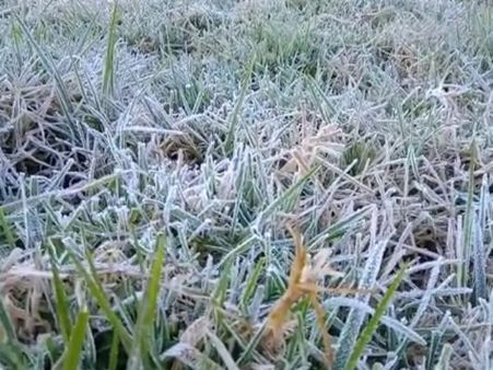 உருகுதே மருகுதே.. உறைஞ்சு போச்சு கொடைக்கானல் ஏரி.. எங்கெங்கும் வெண் பனி!