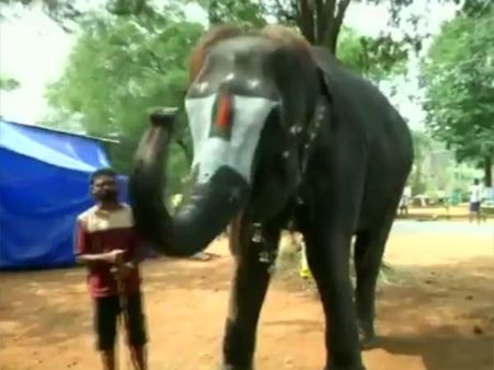 5 மவுத் ஆர்கனை உடைத்த கோவை லட்சுமி.. ஆனா இப்ப தும்பிக்கையில் நம்பிக்கையுடன் 15 நிமிஷம் வாசிப்பாள்!