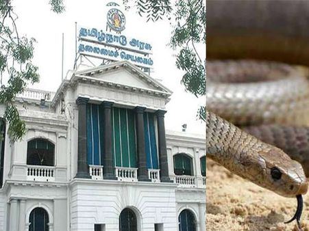 அனல் பறந்த சட்டசபைக் கூட்டம்.. உறுப்பினர்கள் விவாதங்களில் பிசி.. மெல்ல நுழைந்த பாம்பு!