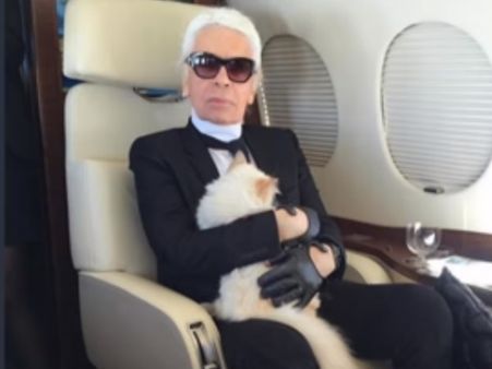 பார்ரா.. இது சாதா பூனை இல்லை பாஸ்.. பில்லியனர் பூனை.. ரூ. 1400 கோடி சொத்து இருக்காம்