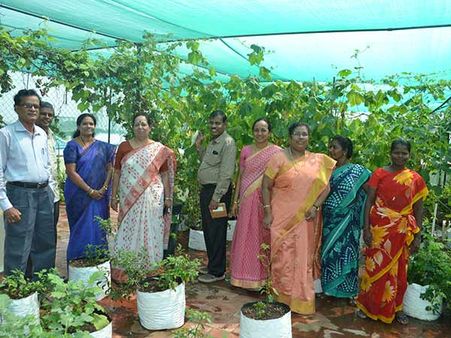 பாடம் நடத்துவது மட்டுமல்ல.. மாடித் தோட்டம் போட்டு காய்கறி வளர்த்து அசத்தும் பள்ளி!