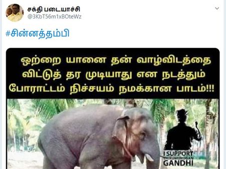 வாழ்விடத்தை விட்டு தர முடியாது.. ஒற்றை யானை நடத்தும் போராட்டம்.. ஒரு பாடம்.. நெட்டிசன்கள் பஞ்ச்!