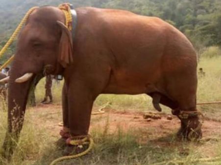 குட்டையை மூடியாச்சு.. கரும்பு தோட்டம், வயல்.. மக்கள் போராட்டம்.. இடமின்றி தவிக்கும் சின்னத்தம்பி