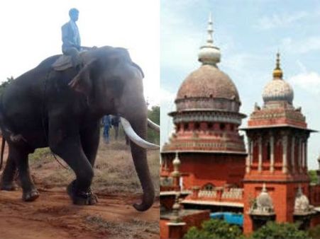 மக்களுக்கு ஹேப்பி நியூஸ்.. சின்னத்தம்பியை கும்கியாக்கும் திட்டமில்லை.. வனத்துறை அறிவிப்பு!