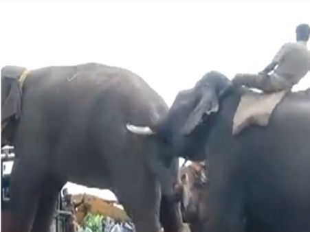 அழ வச்சுட்டியேடா செல்லத் தம்பி.. லாரியில் ஏற்றப்பட்டான் சின்னத்தம்பி.. வரகளியாறு செல்கிறான்!