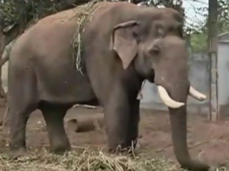 கரும்பு தோட்டத்தில் முகாம்.. நல்ல சாப்பாடு, தண்ணீர்.. நிம்மதியாக இருக்கிறான் சின்னத்தம்பி