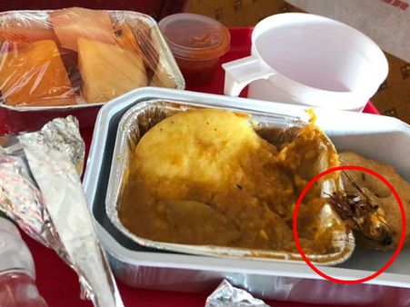 இட்லி வடையில் செத்த கரப்பான்பூச்சி… ஏர் இந்தியா விமானத்தில் இந்த கூத்து… பயணிகள் அதிர்ச்சி