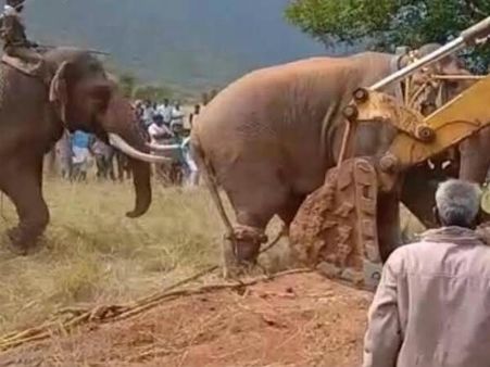 வாழ்வாதாரத்தையும் இருப்பையும் தேடி அகதியாய் அலையும் சின்னத்தம்பி.. நெட்டிசன்கள் வேதனை #சின்னத்தம்பி