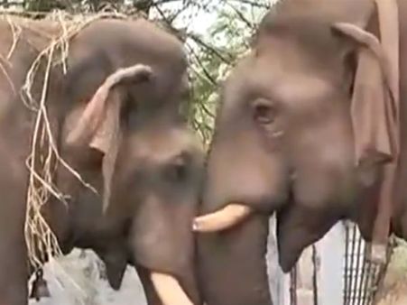 பார்க்கத்தாய்யா இவன் முரட்டுப் பய.. ஆனா பாசத்துல இந்த 