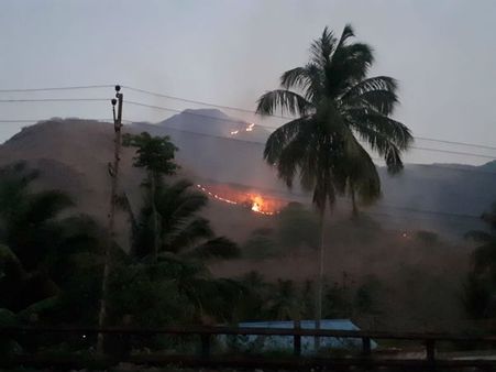 ஆரியங்காவு வனப்பகுதியில் காட்டுத்தீ… வனத்துறை திணறல்