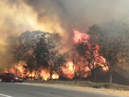 சுழற்றி சுழற்றி அடிக்கும் காற்று.. நீலகிரி மாவட்டத்தில் ஆங்காங்கே காட்டுத் தீ பரவும் அபாயம்