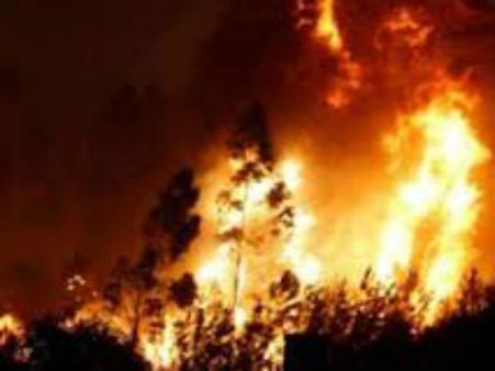 ஏற்காடு வனப்பகுதியில் பயங்கர தீ.. 50க்கும் மேற்பட்ட குடும்பங்கள் வெளியேற்றம்.. தீயை அணைக்க போராட்டம்