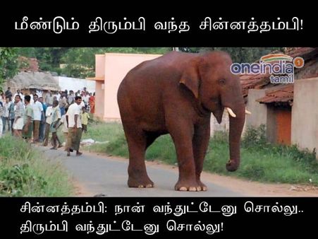 பிரதமர் காட்டுல இருக்கனும்னு ஆசைப்படுறார்.. யானை நாட்டுக்குள்ள வர ஆசைப்படுது.. நம்ம டிசைன் அப்டி!