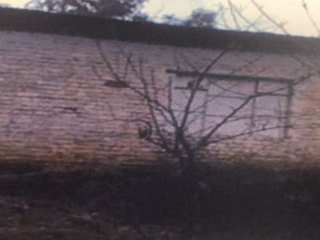 இந்தியா தாக்கி அழித்த தீவிரவாத முகாம் இதுதான்.. உள்ளே என்னவெல்லாம் இருந்தது?- வெளியானது போட்டோ