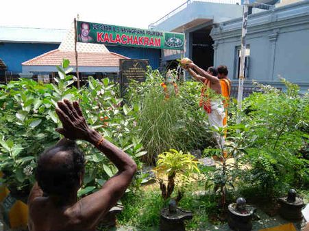 கண் கோளாறுகள் நீக்கும் ரத சப்தமி விரதம் - சூரியநாராயண ஹோமம்