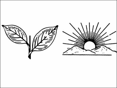 இரட்டை இலை, உதய சூரியன் சின்னம் வேறு கட்சிகளுக்கும் கொடுத்திருக்காங்களா.. என்னப்பா இது!