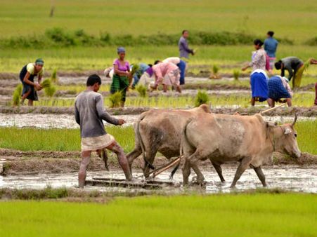 விவசாயிகளுக்கு ஓய்வூதியம், வட்டியில்லா கடன் வழங்கப்படும்- பாஜக தேர்தல் அறிக்கையில் வாக்குறுதி